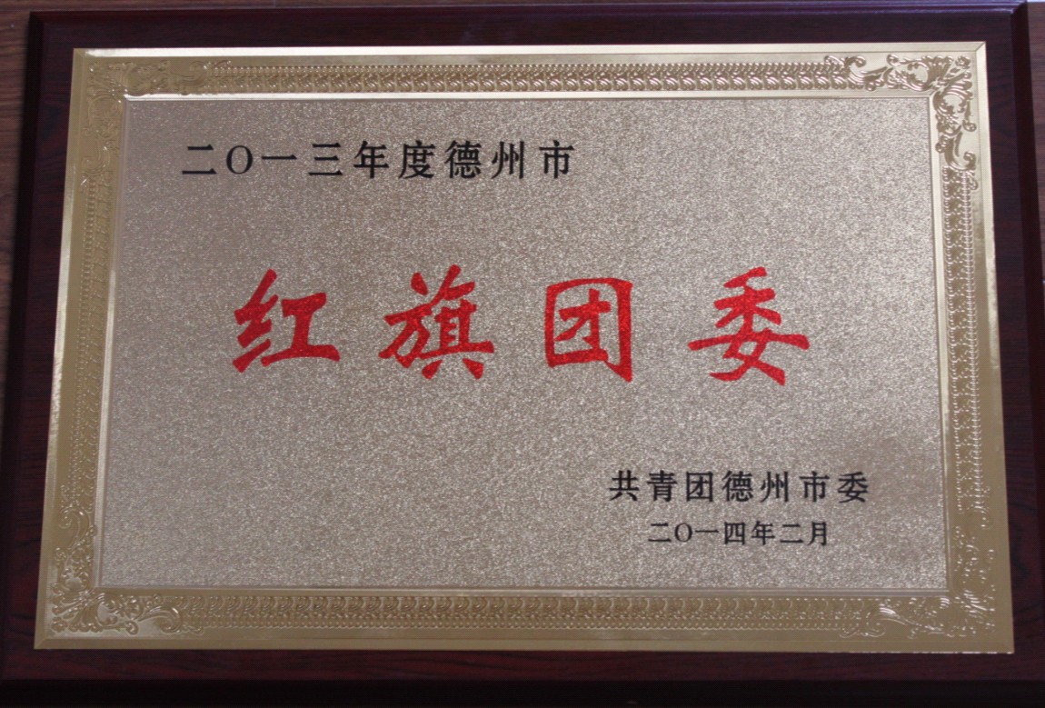 2013年德州市紅旗團(tuán)委