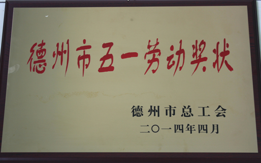 德州市五一勞動(dòng)獎(jiǎng)狀