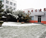 2015年的第一場(chǎng)雪